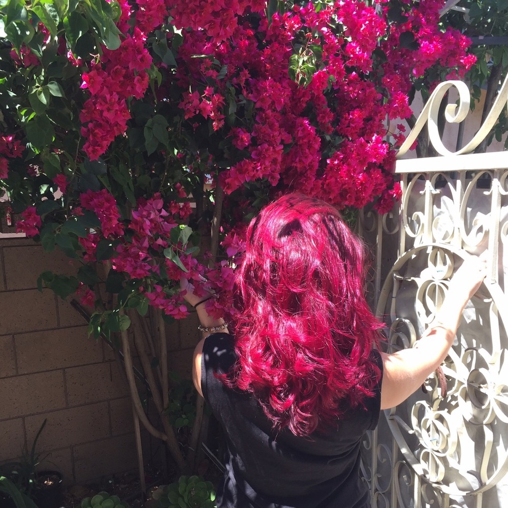 Meet your Posher, Shenor